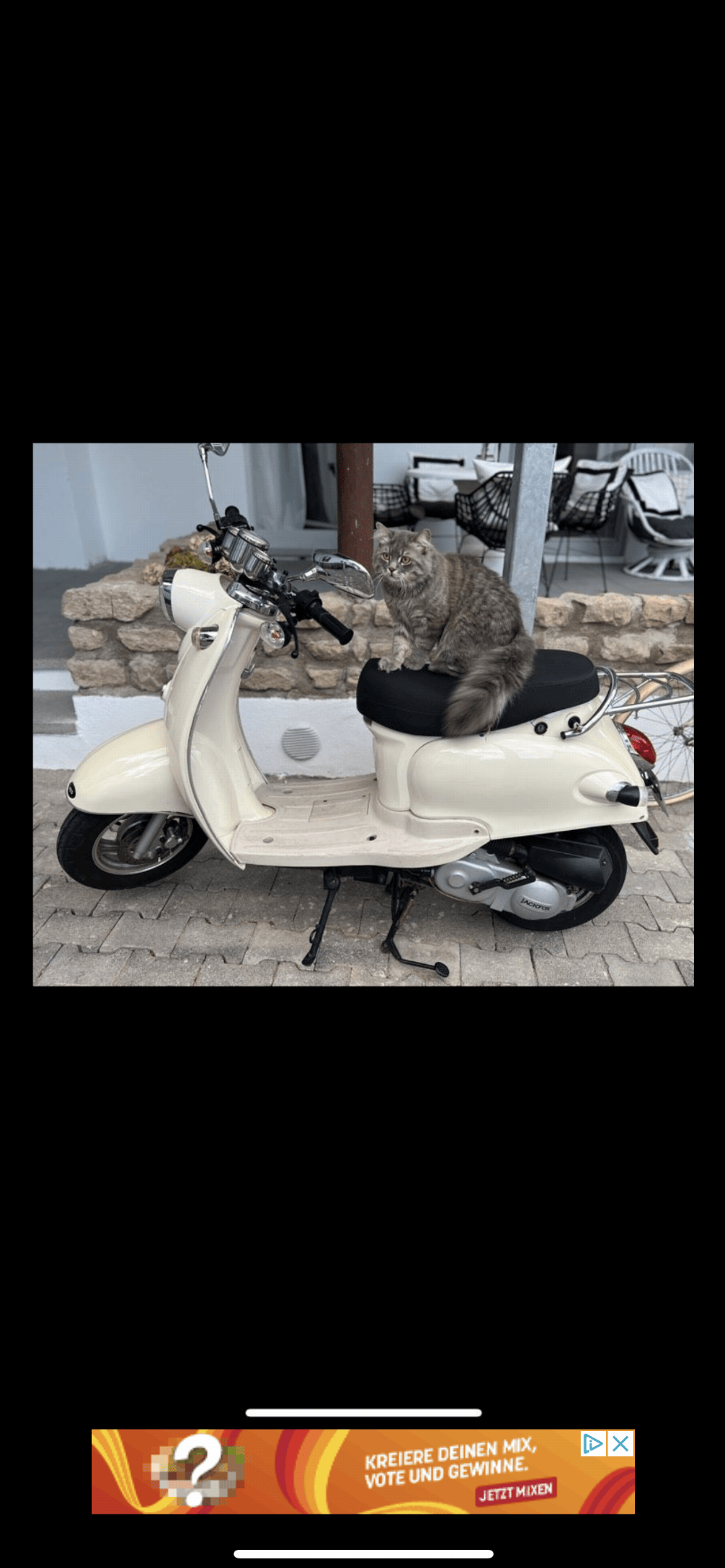 Motorrad verkaufen Andere Benzhou Jack Fox Ankauf
